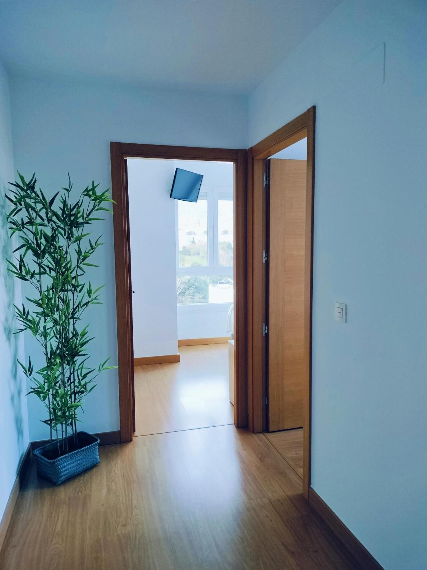 Apartamento Patxike Con Plaza De Garaje Apartment Bermeo Ruang foto